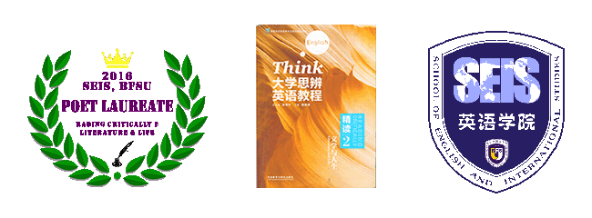 国产视频底端图标